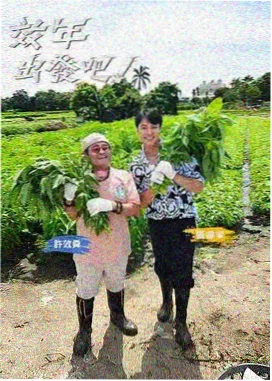 极限挑战 在线视频观看免费完整高清电视剧
